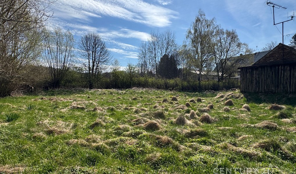 Prodej domu 288 m² s pozemkem 2 090 m², Višňová – náhled fotky 9