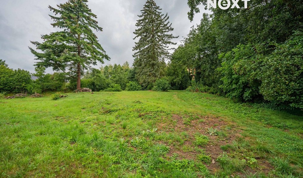 Prodej stavebního pozemku 3 456 m², Loštice – náhled fotky 4