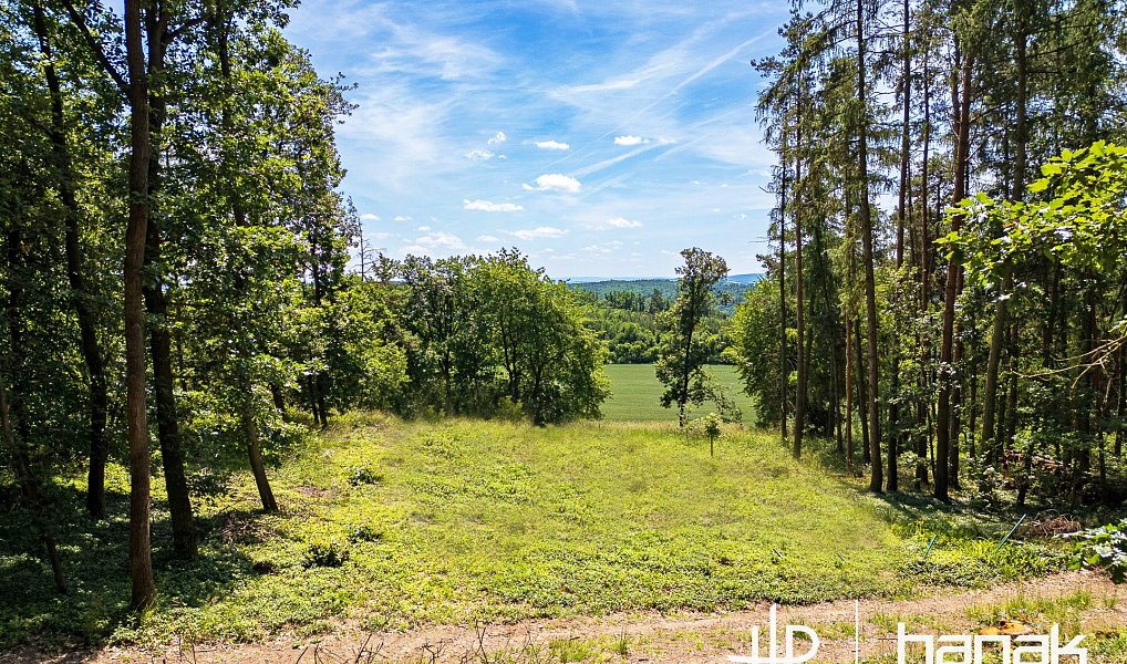 Prodej stavebního pozemku 3 150 m², Hluchov – náhled fotky 5