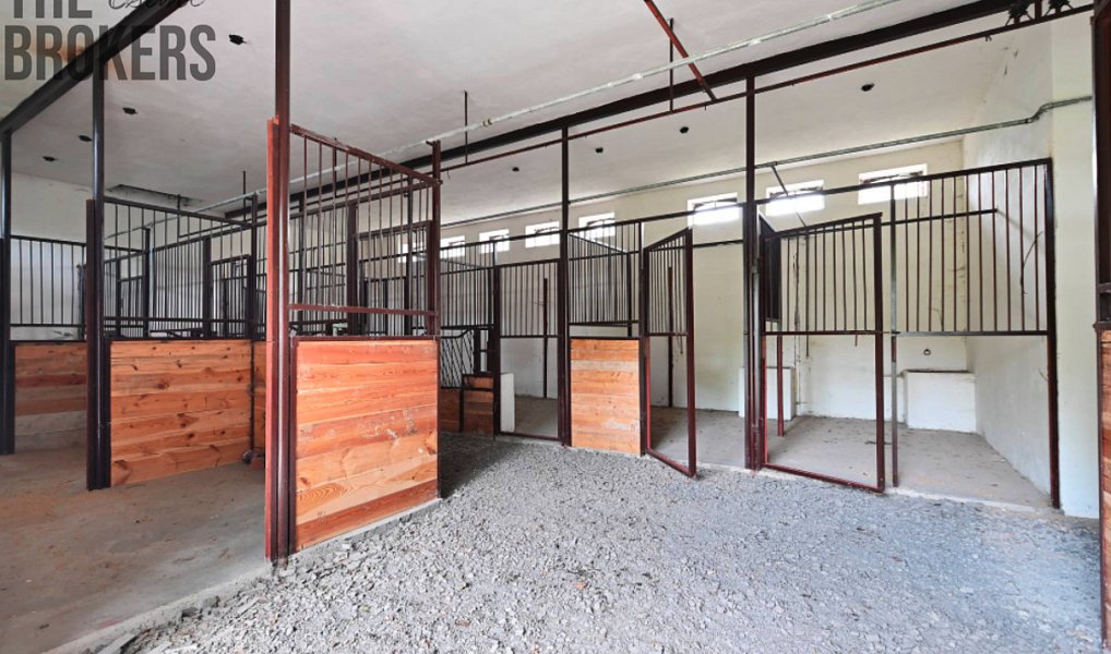 Prodej domu 5 000 m² s pozemkem 42 000 m², Zásmuky – náhled fotky 21