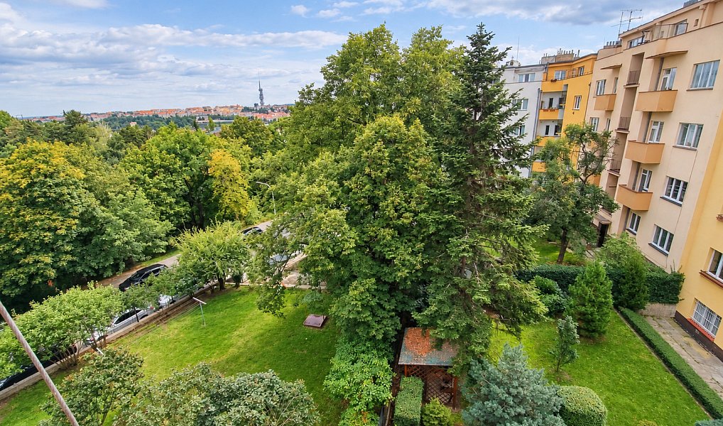 Pronájem bytu 2+1 40 m², Praha – náhled fotky 7