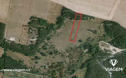 Prodej lesa 1 044 m², Travčice, okres Litoměřice