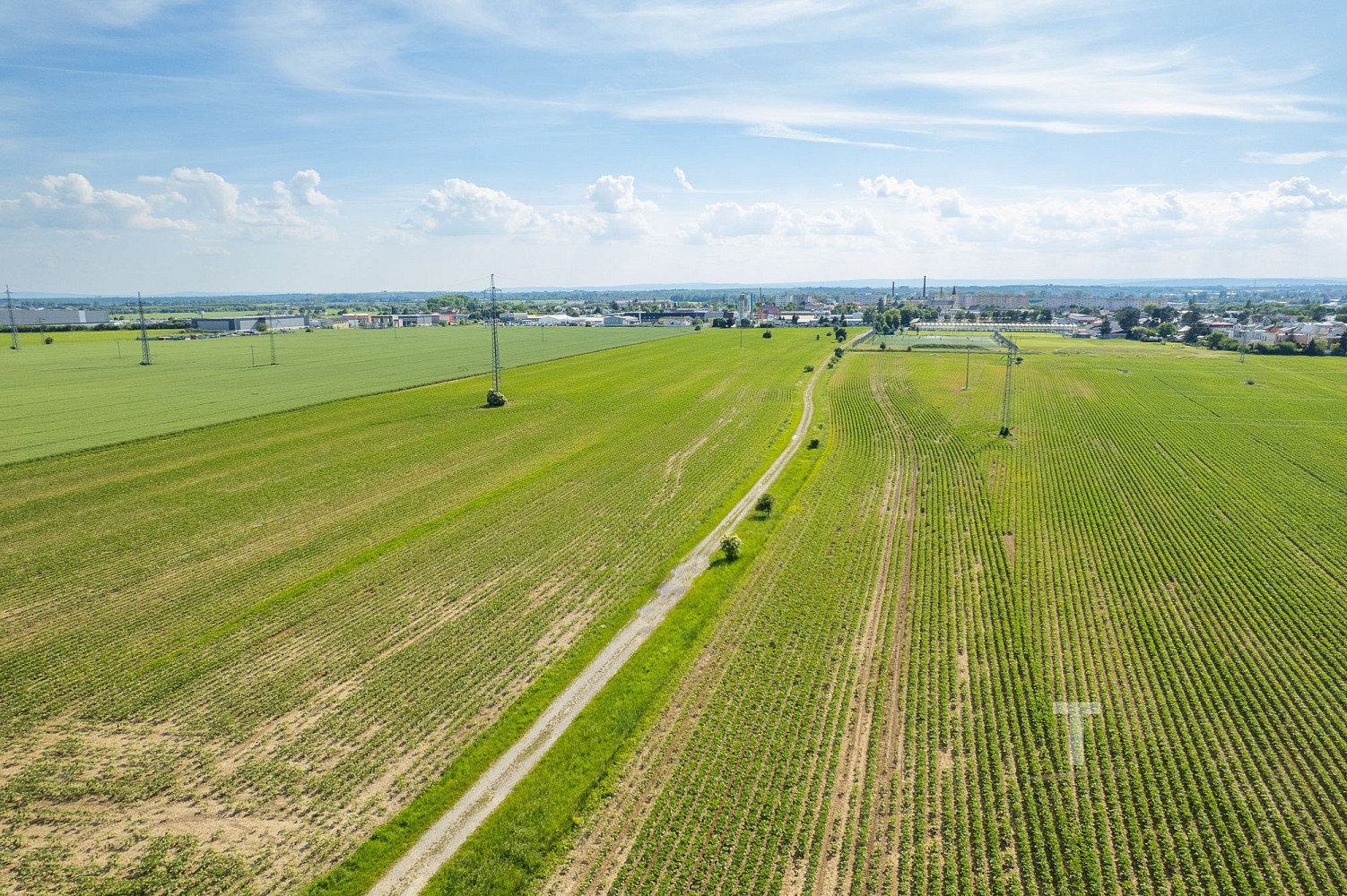Prodej komerčního pozemku 147 116 m² – fotografie 5