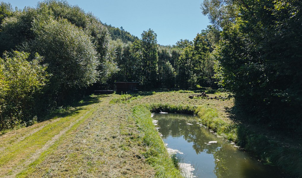 Pronájem vodní plochy 8 295 m², Nové Hrady – náhled fotky 7