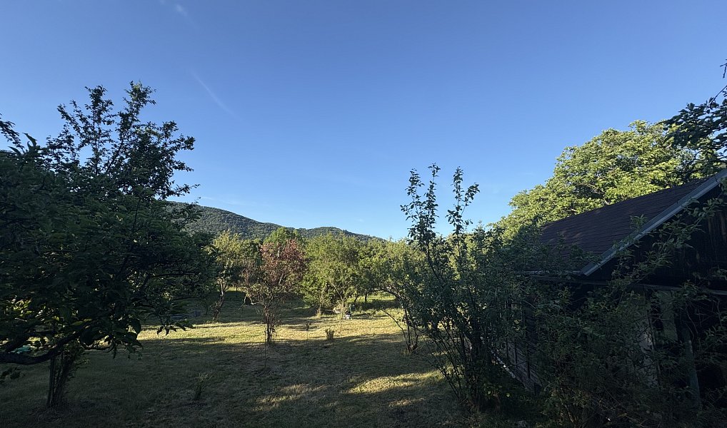Prodej zahrady 1 298 m², Ústí nad Labem – náhled fotky 3