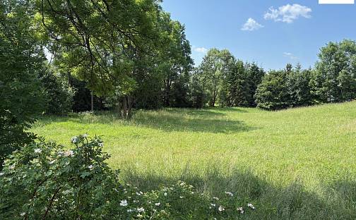 Prodej stavebního pozemku 7 018 m², Razová, okres Bruntál