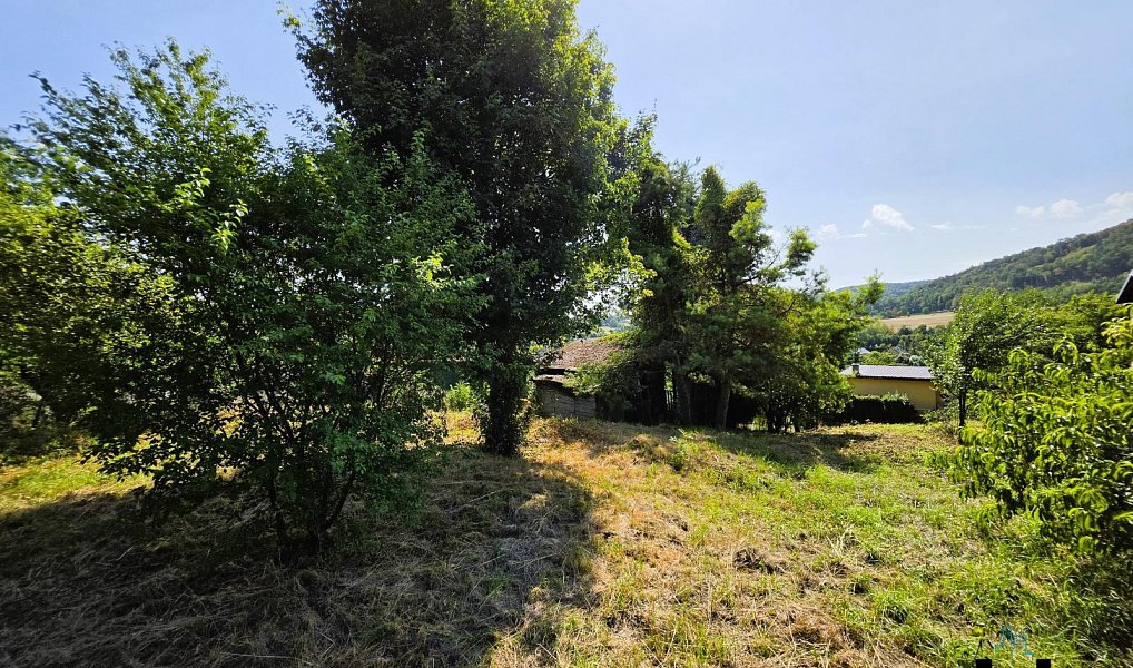 Prodej zahrady 630 m², Jílové – náhled fotky 5