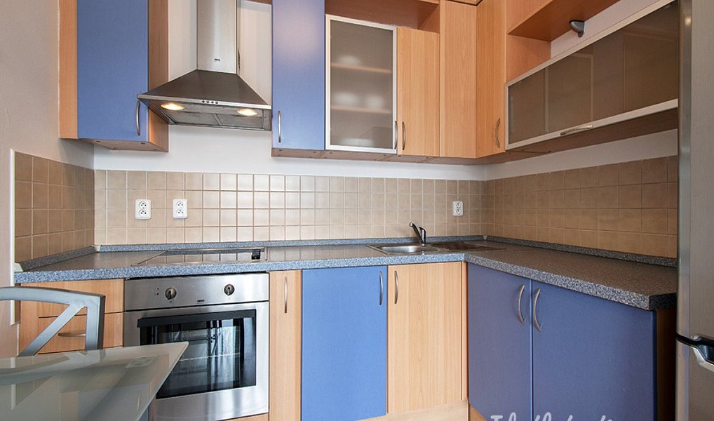 Pronájem bytu 1+kk 34 m², Praha – náhled fotky 4
