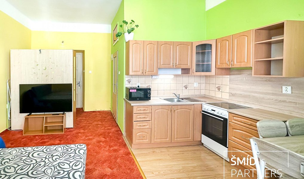 Pronájem bytu 1+kk 26 m², Kolín – náhled fotky 5
