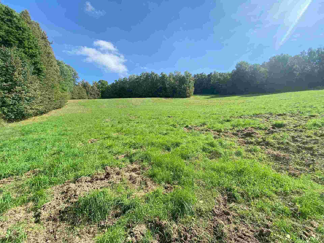 Prodej pozemku 10 593 m² – fotografie 2