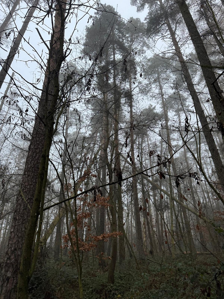 Fotka 9 z 17