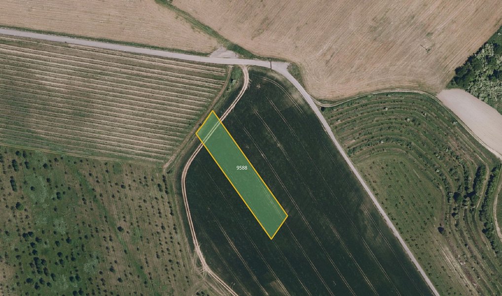 Prodej pole 17 433 m², Kobylí – náhled fotky 3