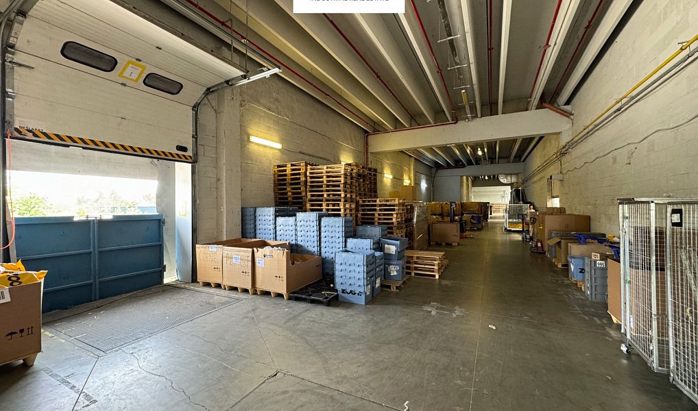 Pronájem skladovacích prostor 2 000 m², Říčany – náhled fotky 12