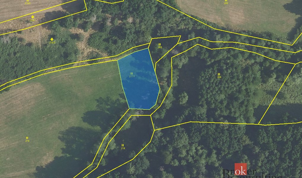 Prodej louky 1 277 m², Rybníky – náhled fotky 10