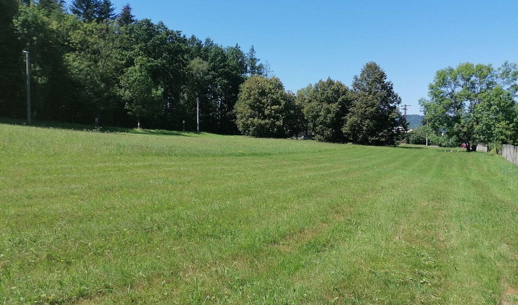 Prodej stavebního pozemku 1 171 m², Hostašovice – náhled fotky 2