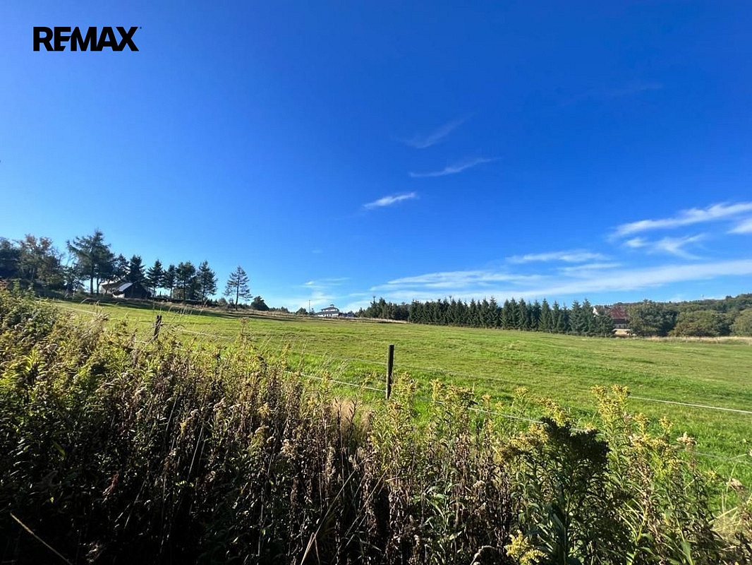 Prodej louky 8 082 m²