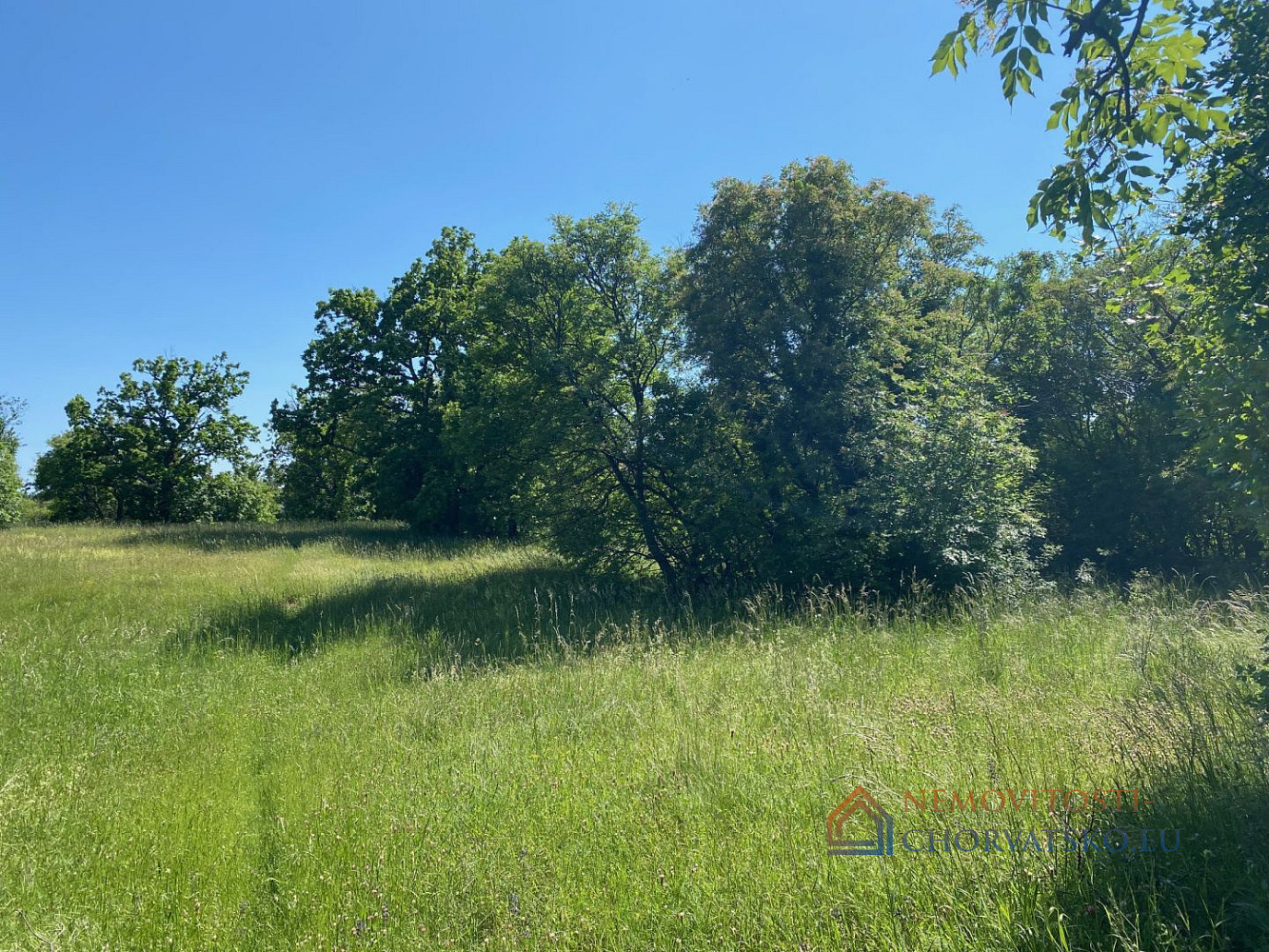 Prodej stavebního pozemku 1 227 m² - Widok 5