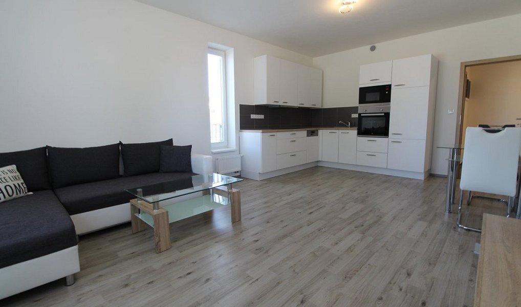 Pronájem bytu 2+kk 53 m², Plzeň – náhled fotky 2