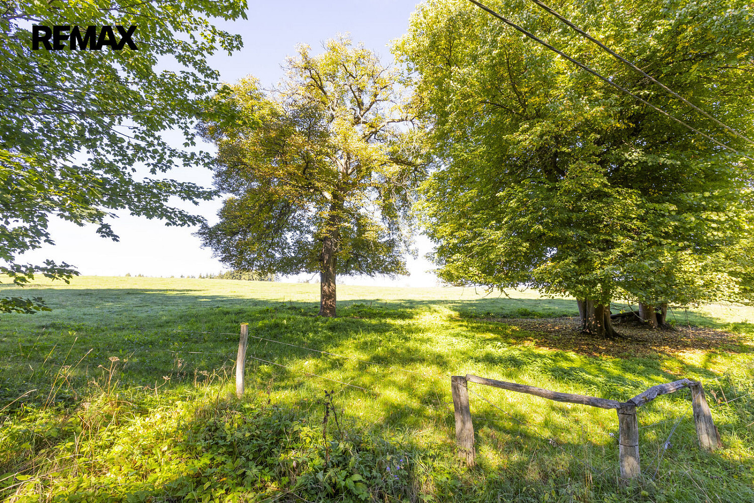 Prodej chaty/chalupy 280 m² s pozemkem 4 759 m² – fotografie 5