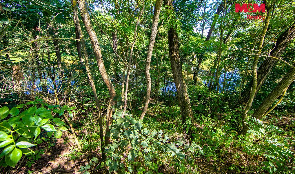Prodej louky 286 m², Hradec – náhled fotky 4
