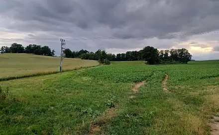 Dražba pozemku 5 544 m², Okna