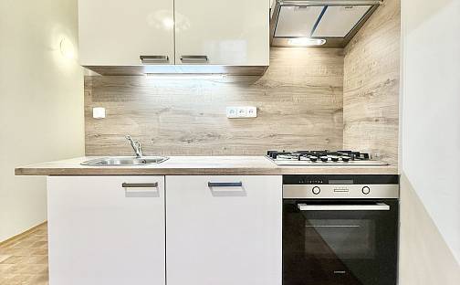 Pronájem bytu 1+1 48 m², Mánesova, Praha 2 - Vinohrady