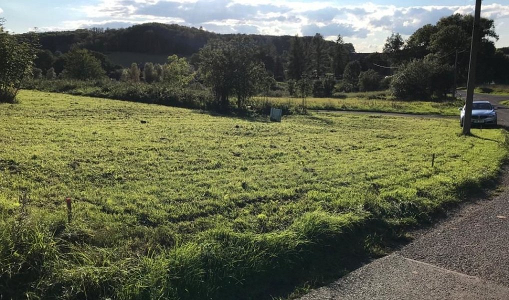 Prodej zahrady 1 851 m², Stebno – náhled fotky 7