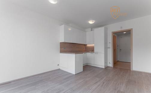 Pronájem bytu 1+kk 28 m², Bassova, Praha 9 - Vysočany