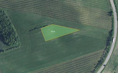 Prodej pole 9 092 m², Čejč, okres Hodonín