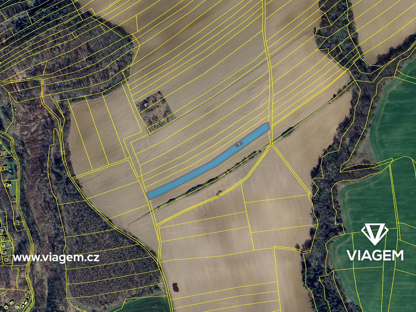 Prodej pole 3 539 m² – fotografie 4