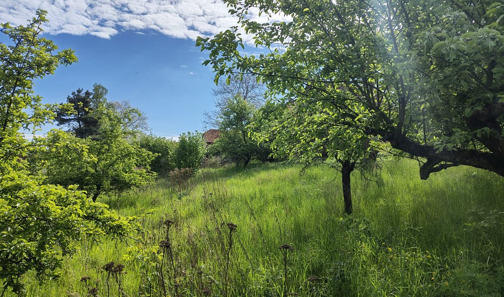 Prodej domu 220 m² s pozemkem 1 940 m², Křivoklát – náhled fotky 20