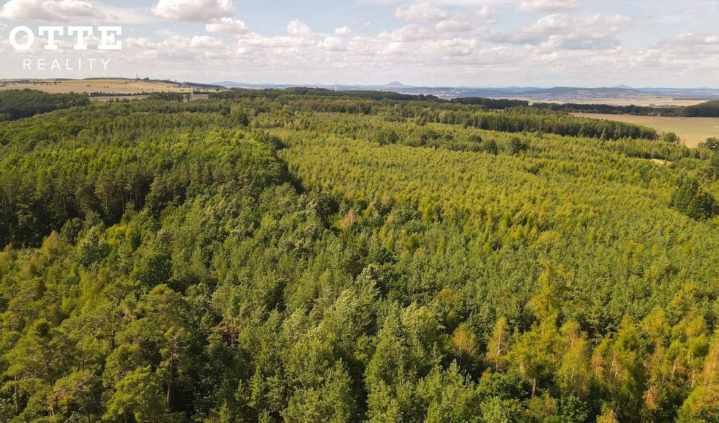 Prodej lesa 985 653 m², Žerčice – náhled fotky 7