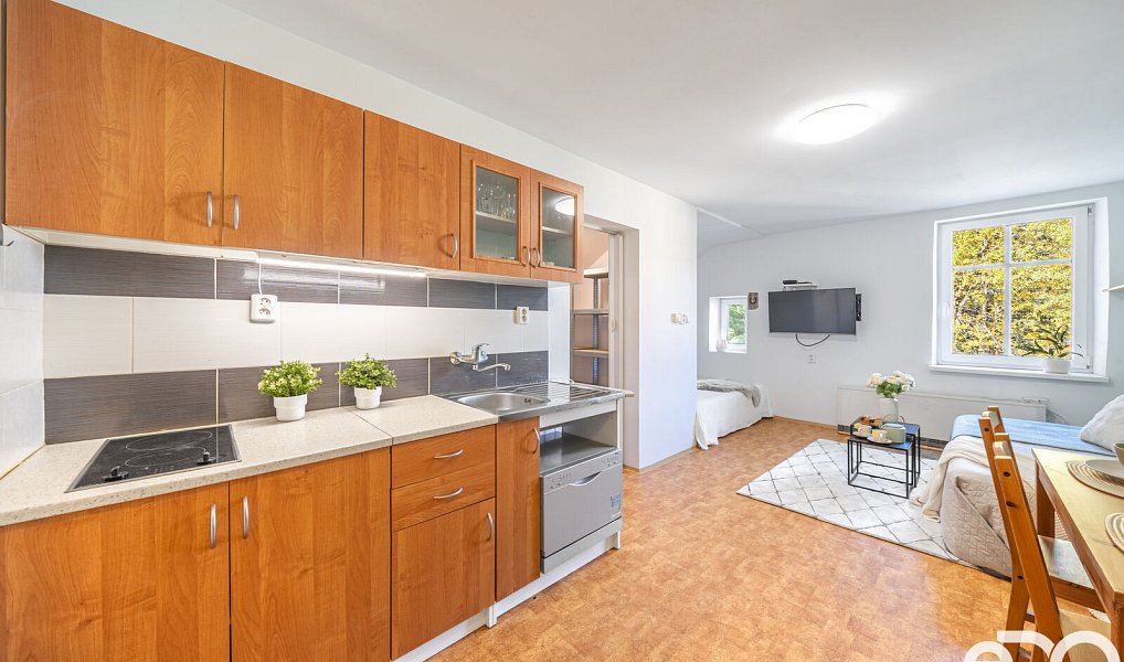 Prodej bytu 1+kk 29 m², Kořenov – náhled fotky 5
