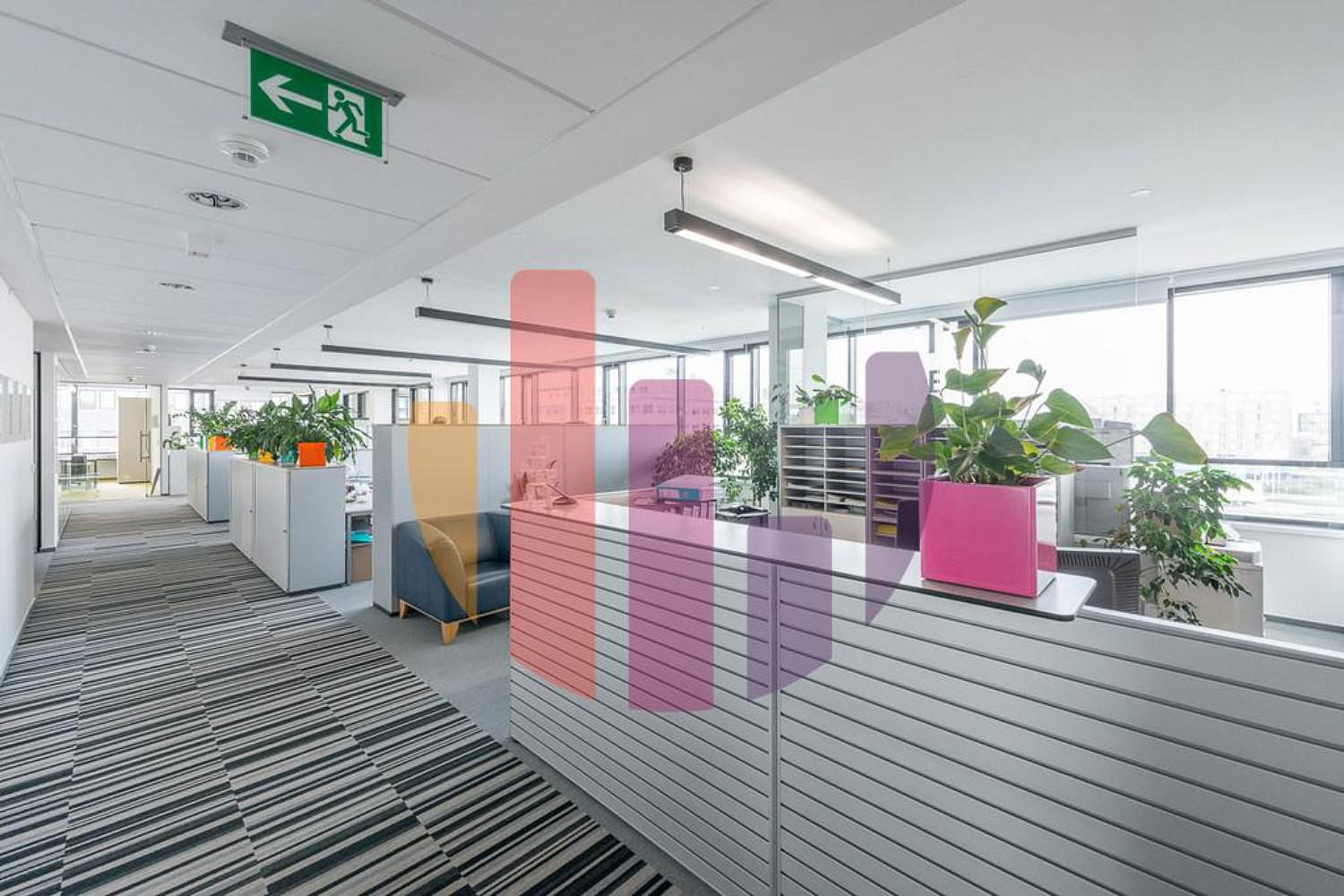 Pronájem kanceláře 356 m² — photo 4