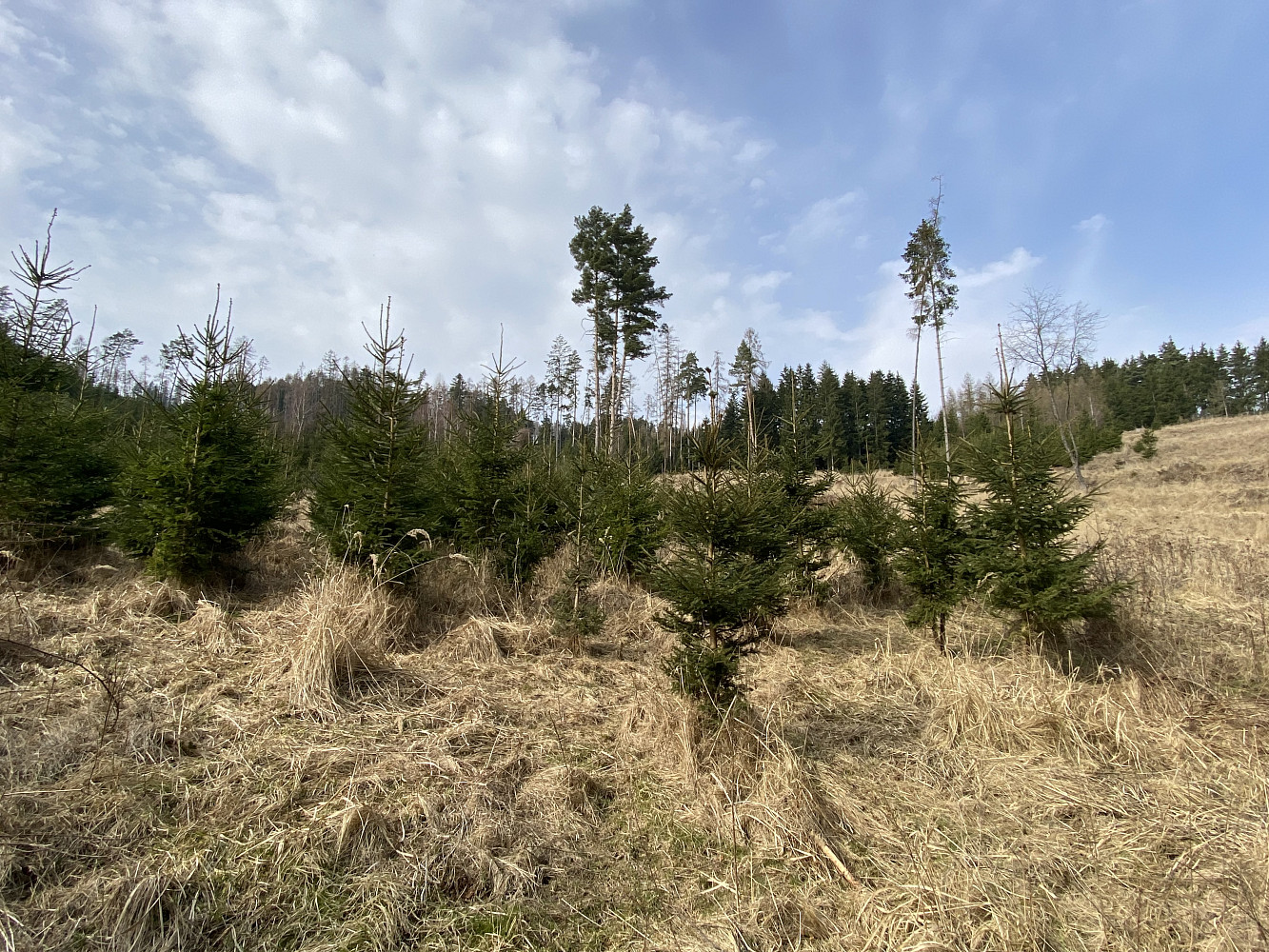 Prodej louky 1 410 m² — photo 4