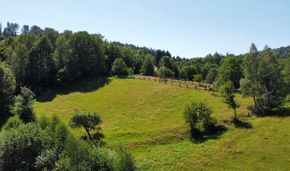 Prodej stavebního pozemku 4 589 m², Olešnice v Orlických horách – náhled fotky 3
