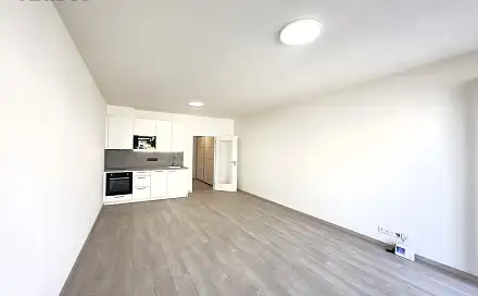 Pronájem bytu 1+kk 41 m²