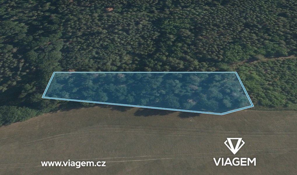 Prodej lesa 4 496 m², Sudovo Hlavno – náhled fotky 2