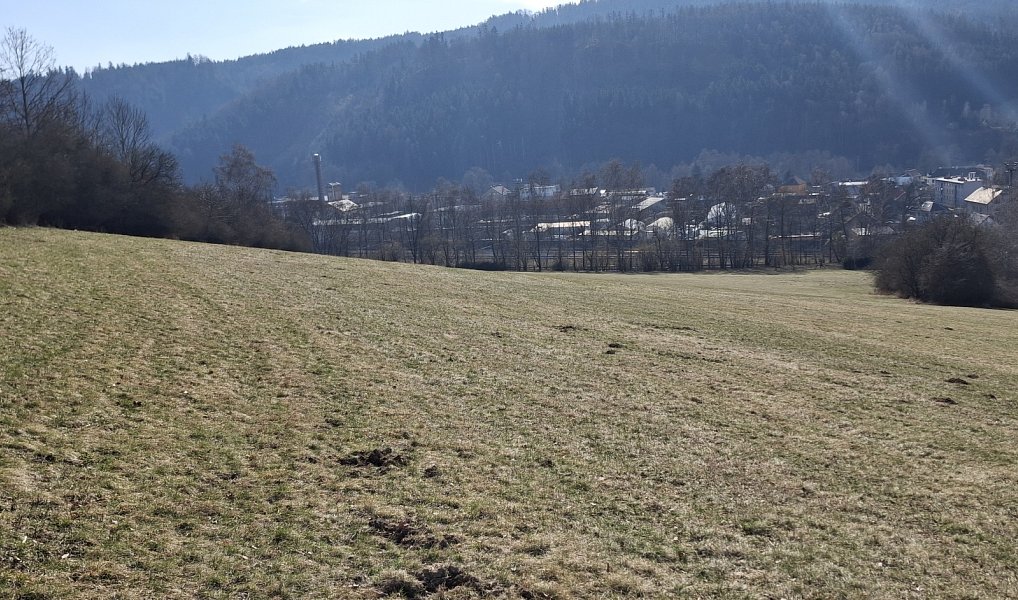 Prodej louky 49 647 m², Ústí nad Orlicí – náhled fotky 10