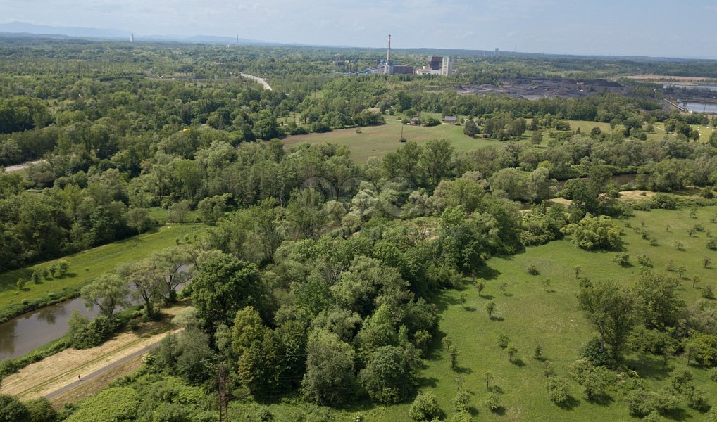 Prodej lesa 3 637 m², Karviná – náhled fotky 6