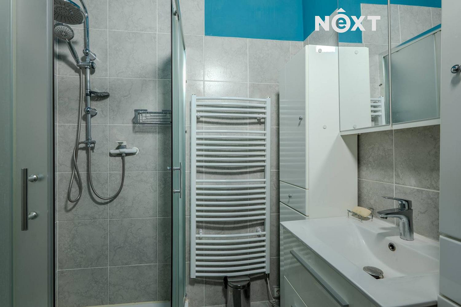 Prodej domu 313 m² s pozemkem 606 m² – fotografie 4