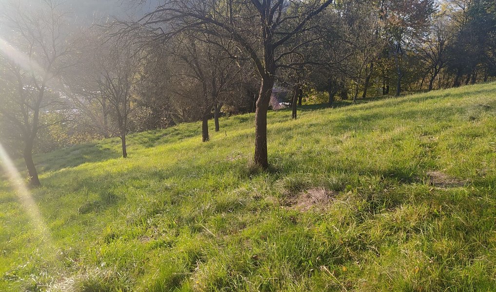 Prodej stavebního pozemku 2 994 m², Vsetín – náhled fotky 4