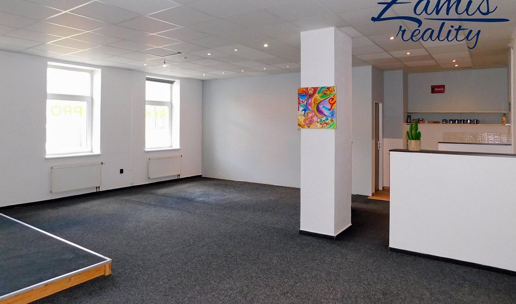 Prodej domu 400 m² s pozemkem 201 m², Kladno – náhled fotky 13