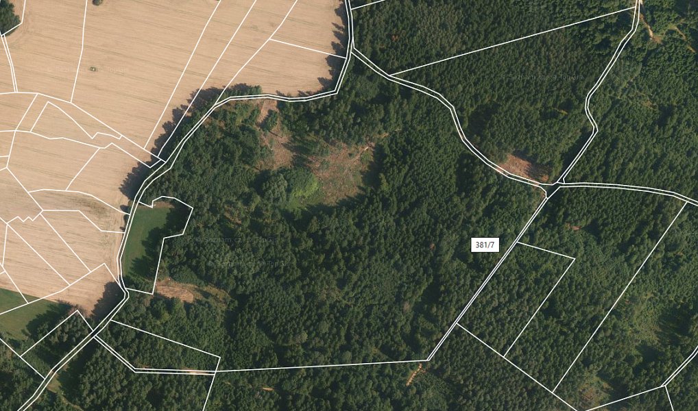 Prodej lesa 154 293 m², Milevsko – náhled fotky 3