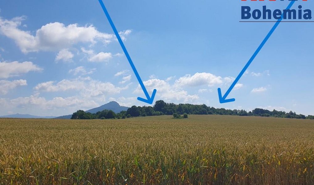 Prodej pozemku 49 299 m², Pertoltice pod Ralskem – náhled fotky 2