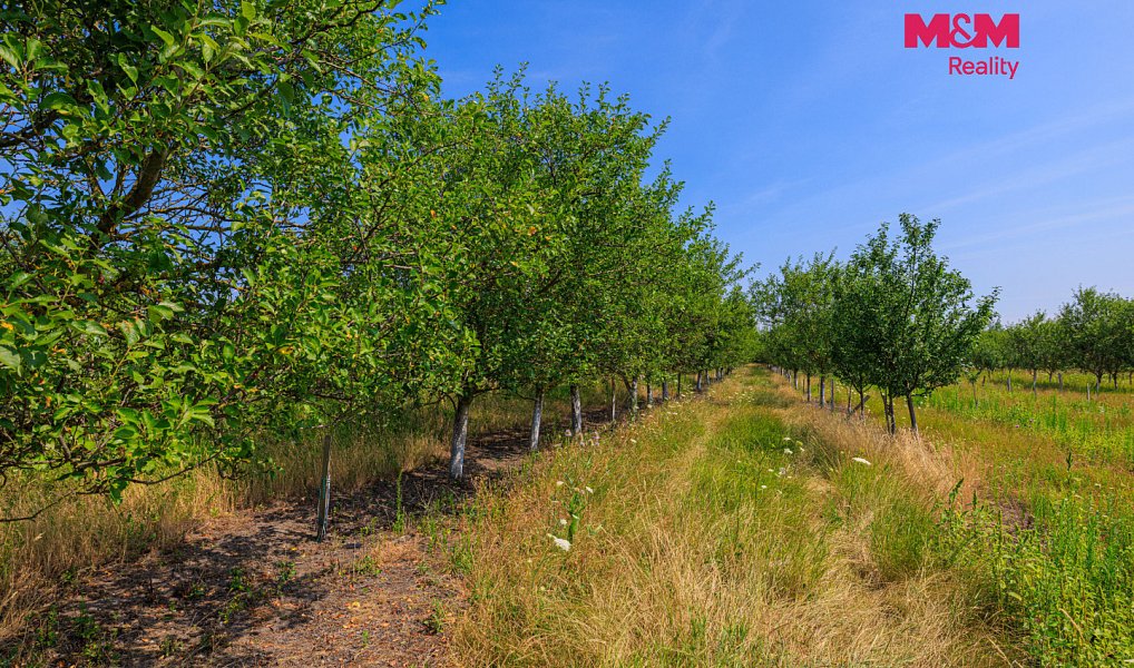 Prodej pole 12 442 m², Rakvice – náhled fotky 15