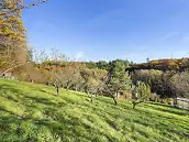 Prodej zahrady 554�m2
