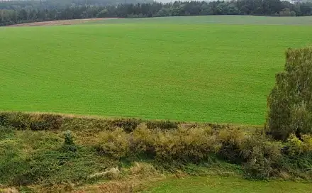 Dražba pole 12 366 m², Kostelec nad Černými lesy