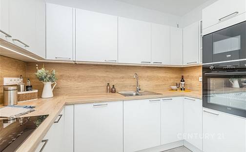 Prodej chaty/chalupy 240 m² s pozemkem 983 m², Tyršova, Týnec nad Labem, okres Kolín