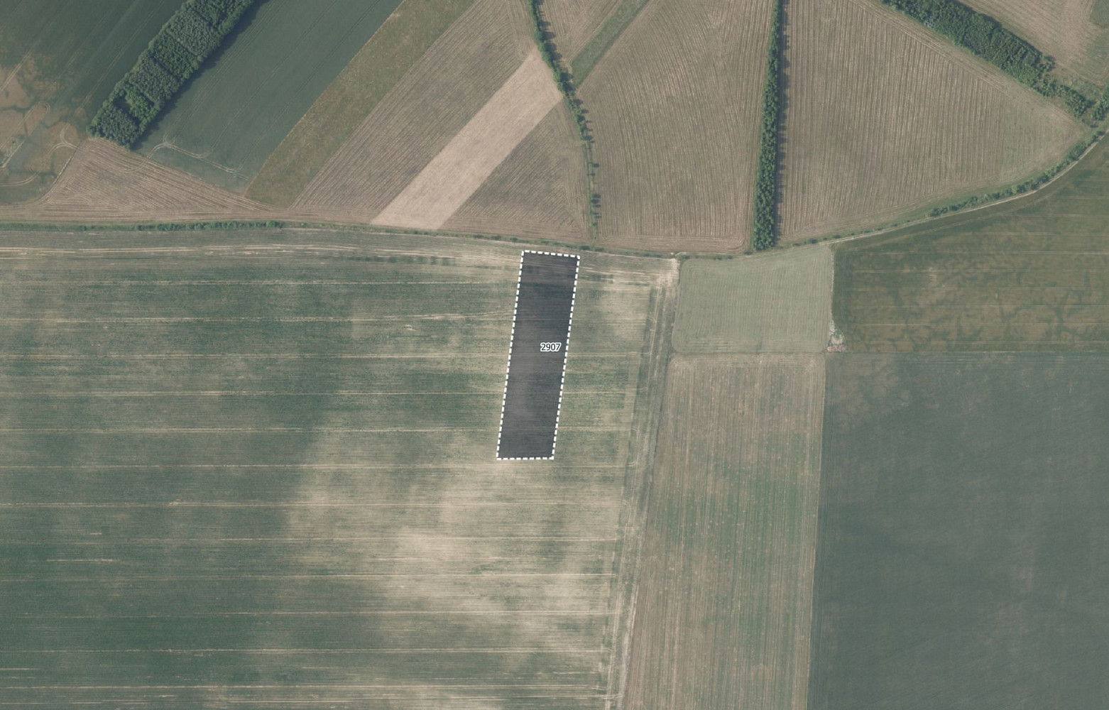 Prodej pole 26 987 m² – pohled 3